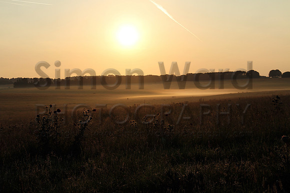 SWP_Summer-Solstice2014_020