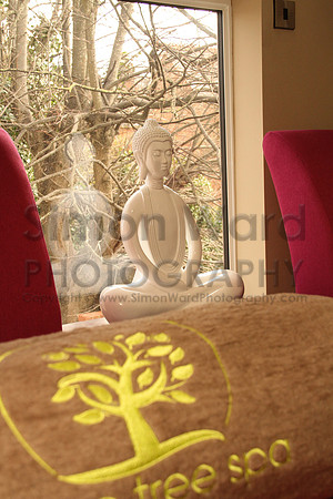 SWP_Lime-Tree-Spa_30.03.15-13