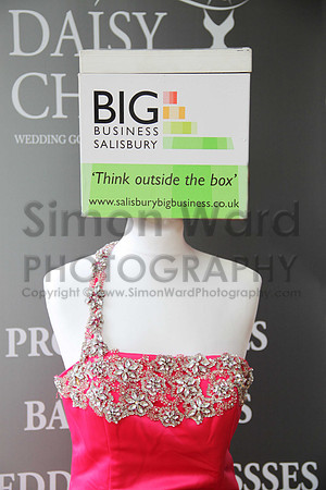 SWP_SBBE-2013-Box_Low_159