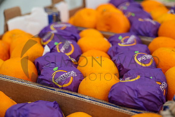 SWP_SA-WFW_09072023-10
