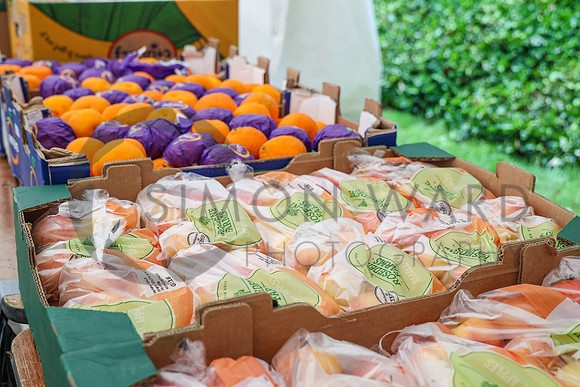 SWP_SA-WFW_09072023-11