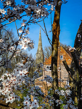 SWP_Salisbury-Cathedral_09032020
