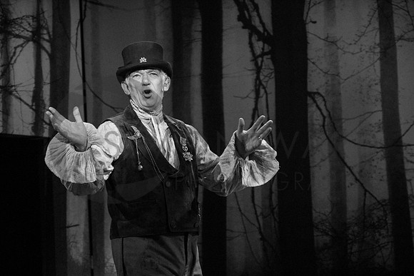 SWP_MTS_Into-The-Woods-340