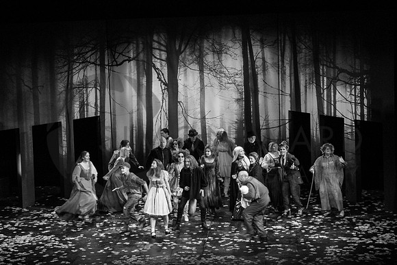 SWP_MTS_Into-The-Woods-948