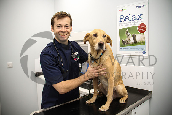 SWP_Vets-4-Pets-Amesbury_30.09.16-19