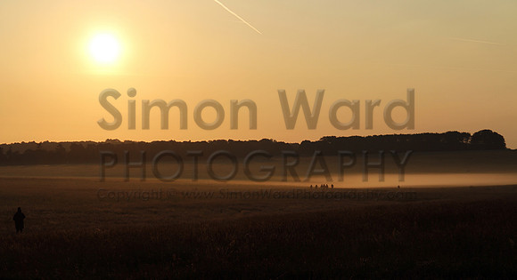 SWP_Summer-Solstice2014_019